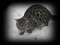 dakota_jan09a.JPG