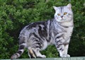 elliot_0613.JPG
