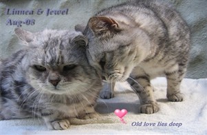 jewel and linnea