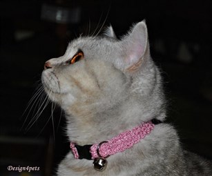 breakaway unique handmade cat collar