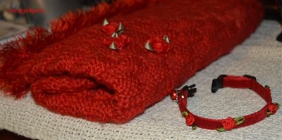 red cat sack blanket rose cat collar