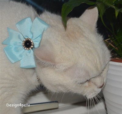 blue crochet cat collar