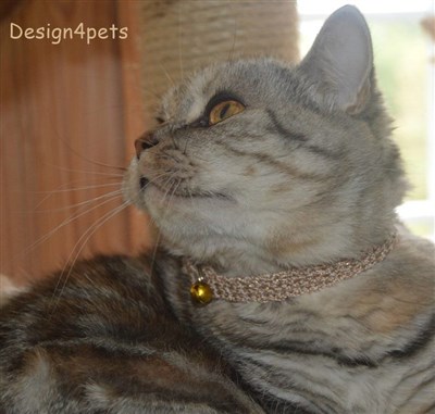 crochet cat collar