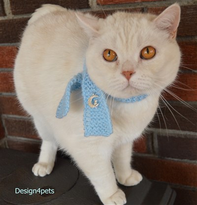 blue cat scarf knitted