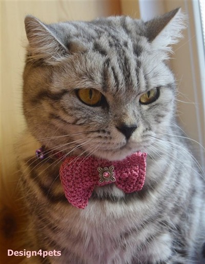 crochet cat collar with bow