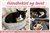 Design4Cats_Kattesenger_RyddigBakgrunn_JPG.jpg